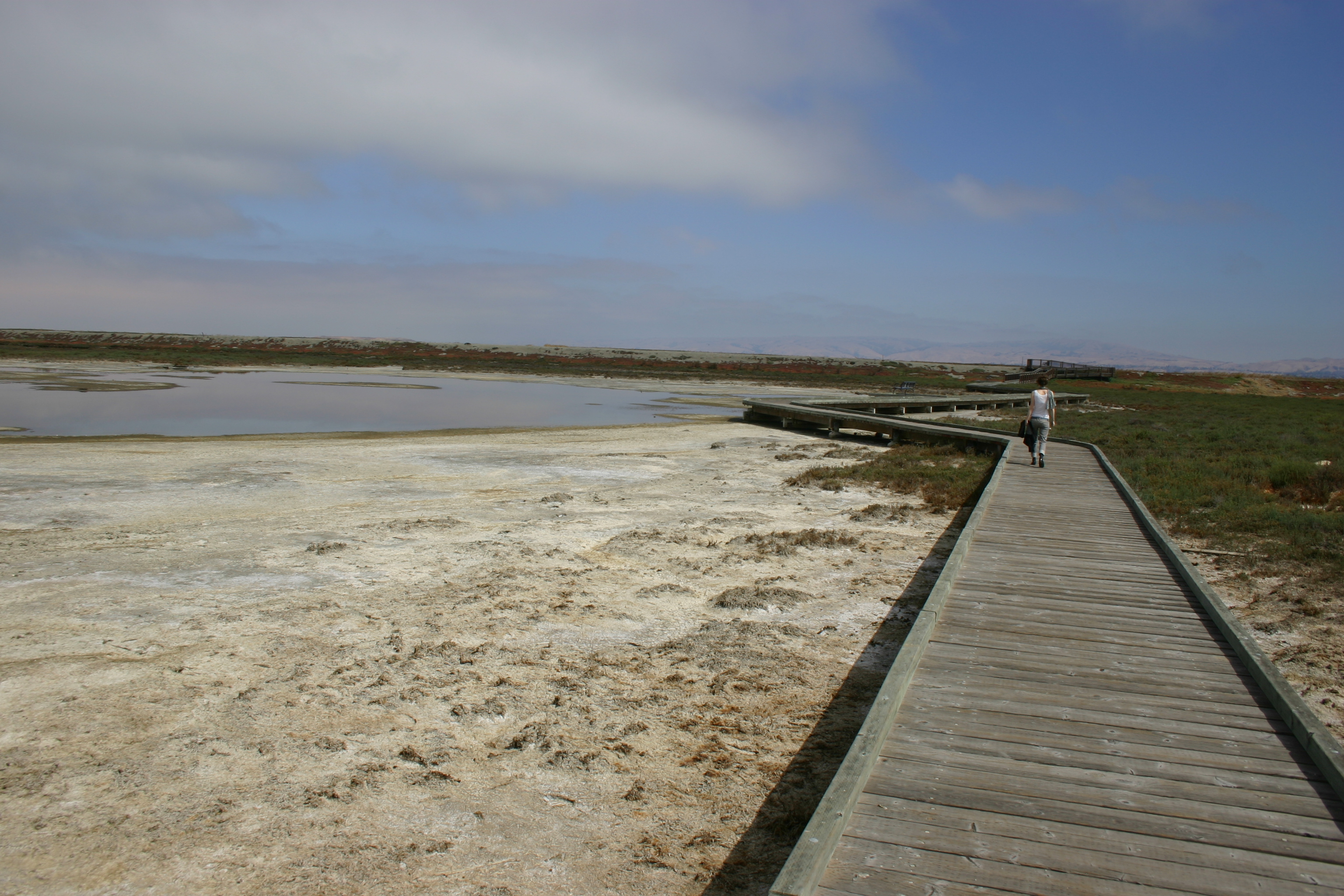 A young woman on the boardwalk at the Alviso salt marshes.