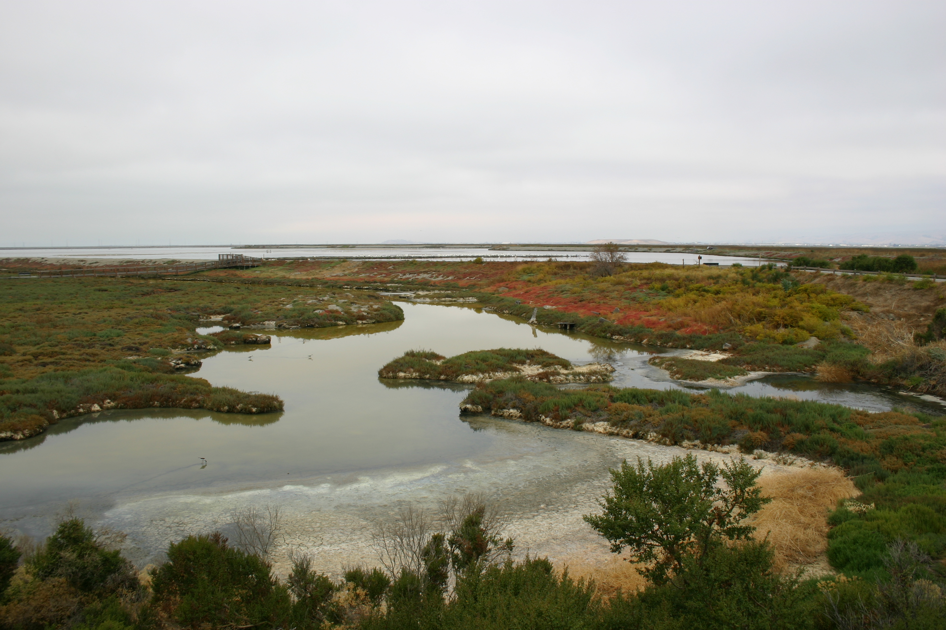Marsh water curves through a colorful landscape. 