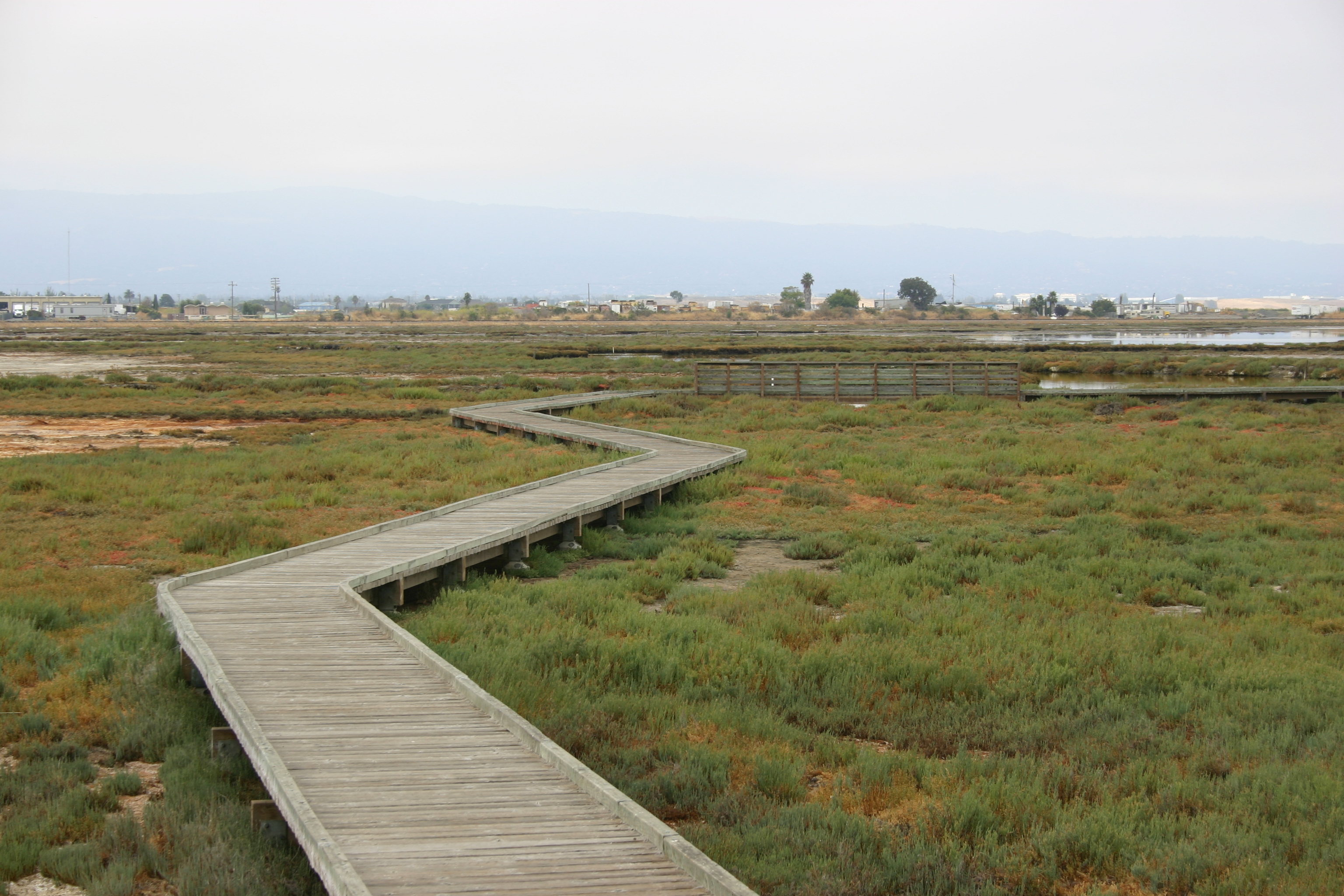 A zig-zaggy boardwalk on the salt marshes.