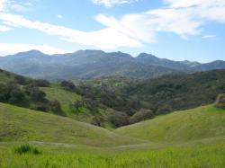 The beautiful green hills of Pacheco State Park, California.