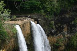 Wailua Falls. 
