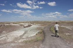 Petrified wood in this desolate landscape has been fossilized and turned to stone. A man walks a lonely road. 