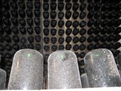 A wall of wine bottles, with dusty bottles in the foreground. 