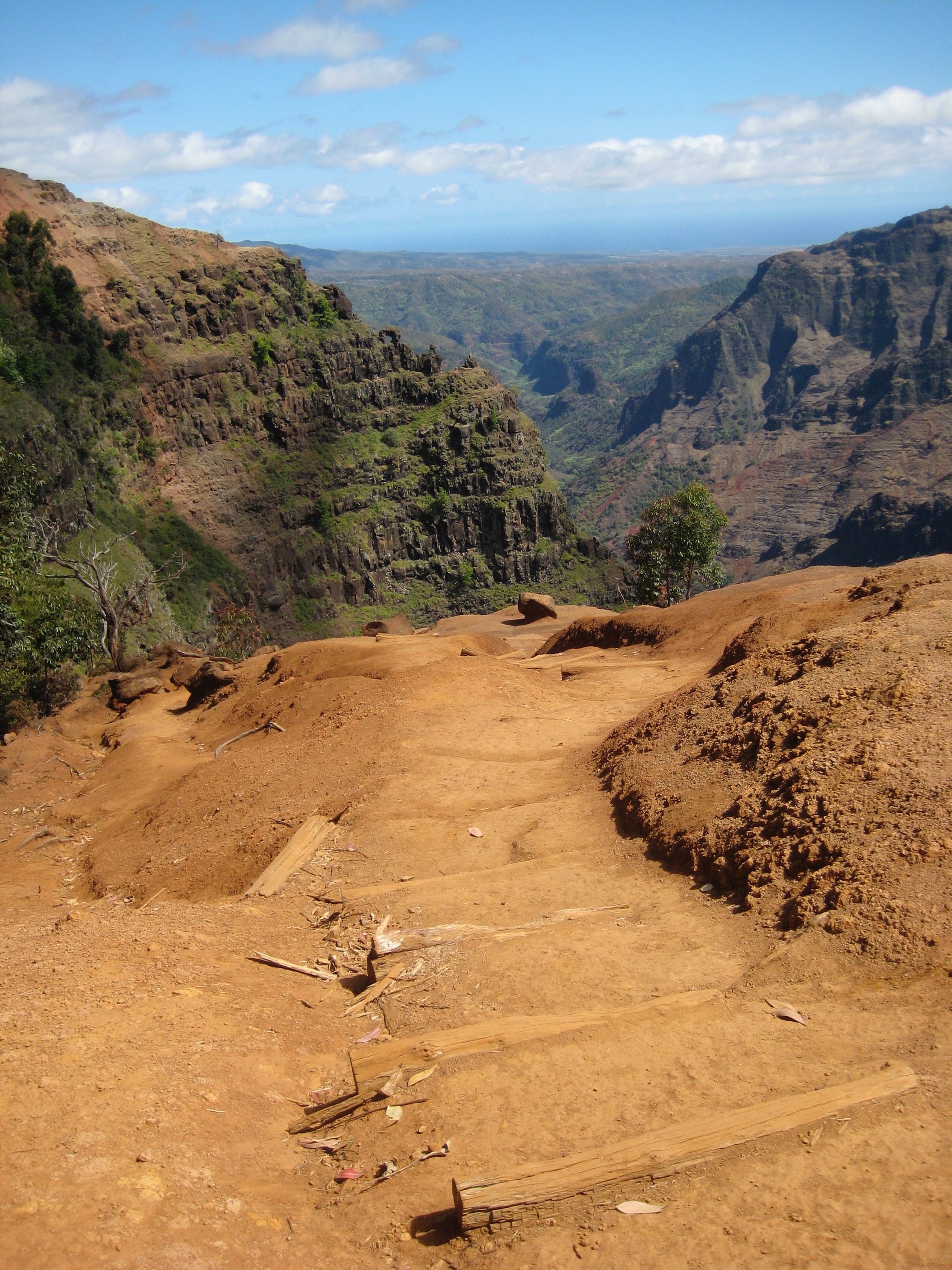 A rough stepped dirt pathway down into Waimea Canyon, also known as the Grand Canyon of the Pacific. 