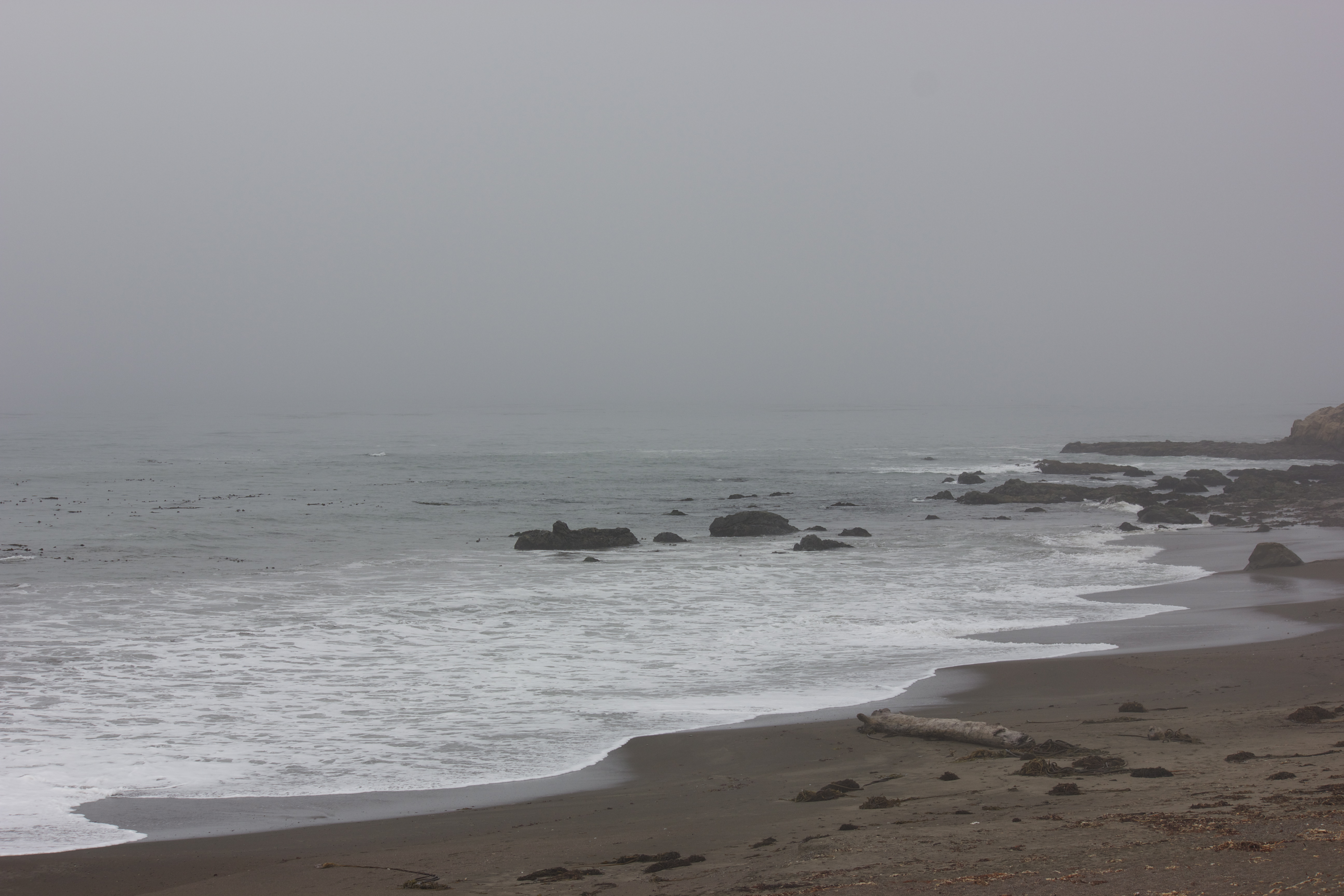 A foggy day on the rocky coast. 