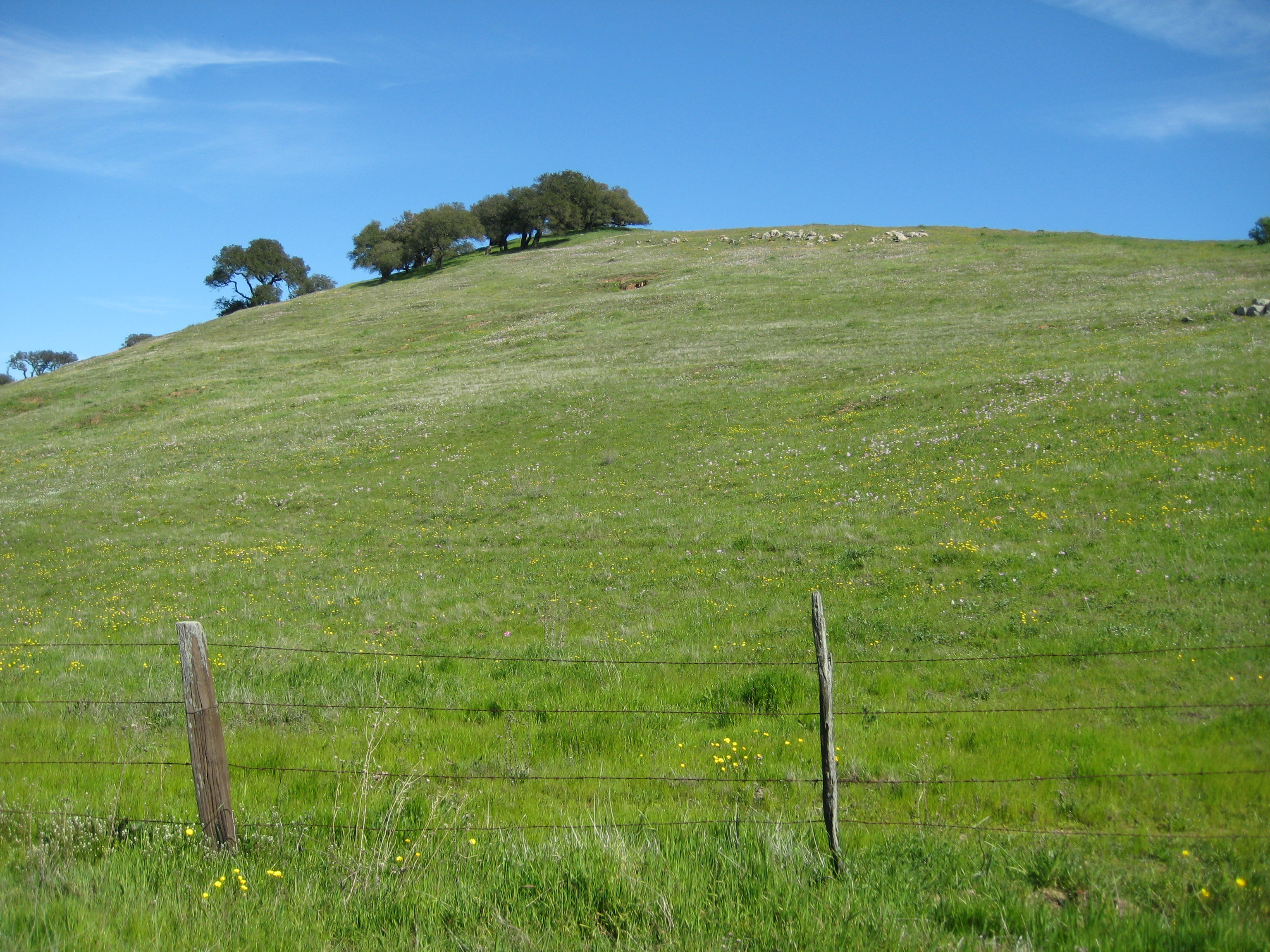 A flimsy fence somehow manages to contain a huge hill in Pacheco State Park, California.