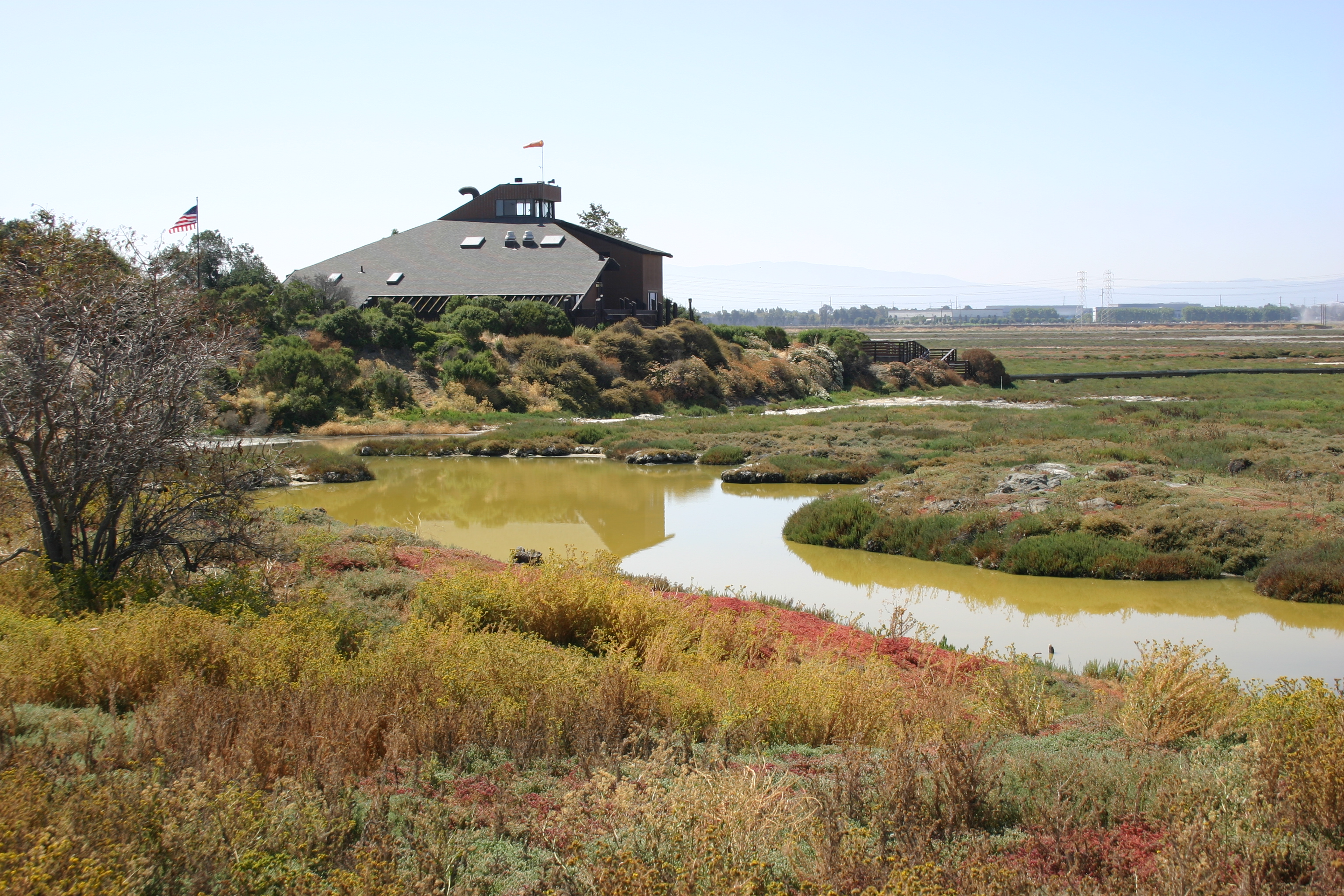 A colorful landscape and the stagnant green water of the salt marsh surround the Environmental Education Center in Alviso, California.