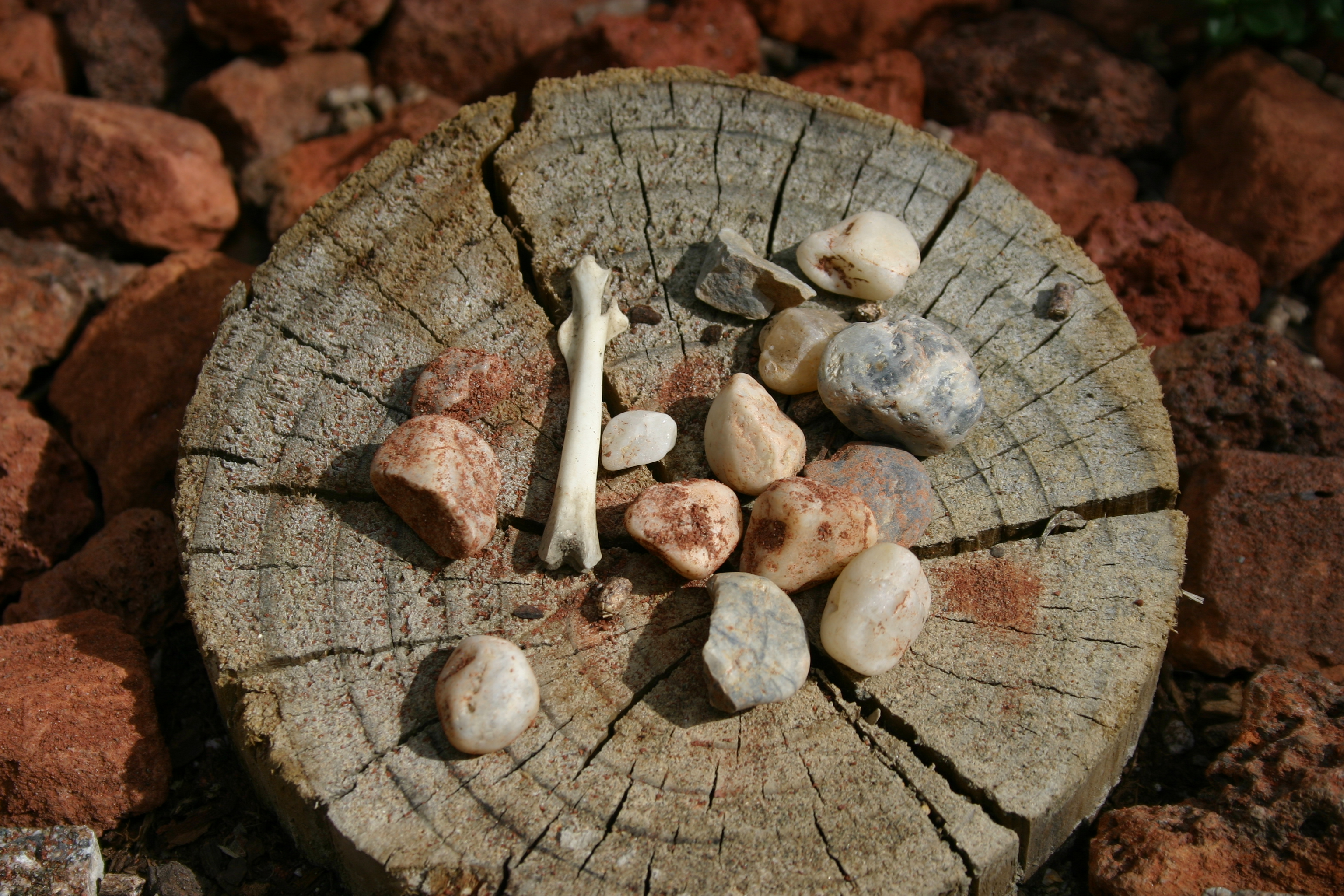 A collection of bones and stones on a round post surrounded by red rock. 