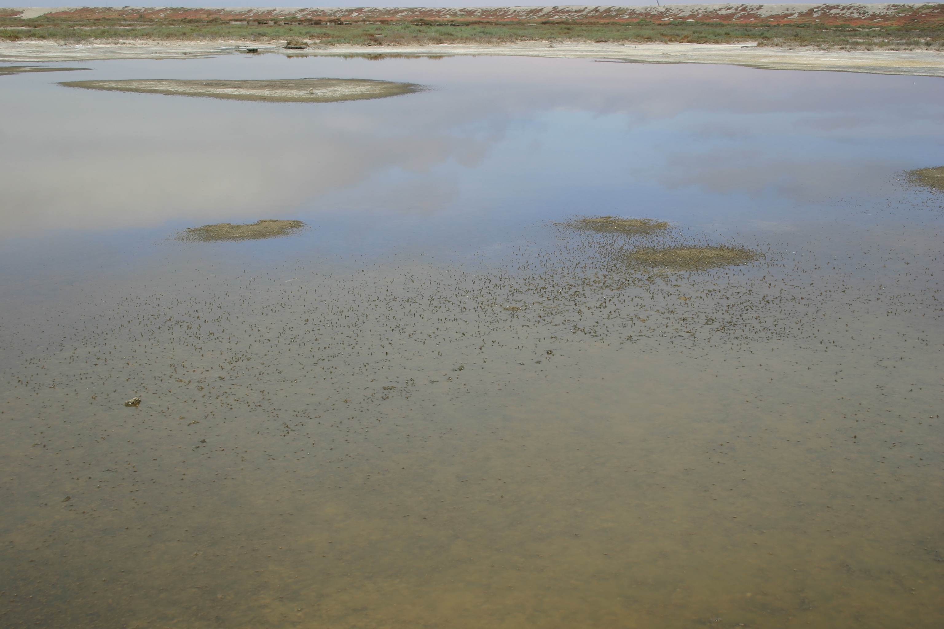 The still water of a salt marsh reflects sky and clouds.