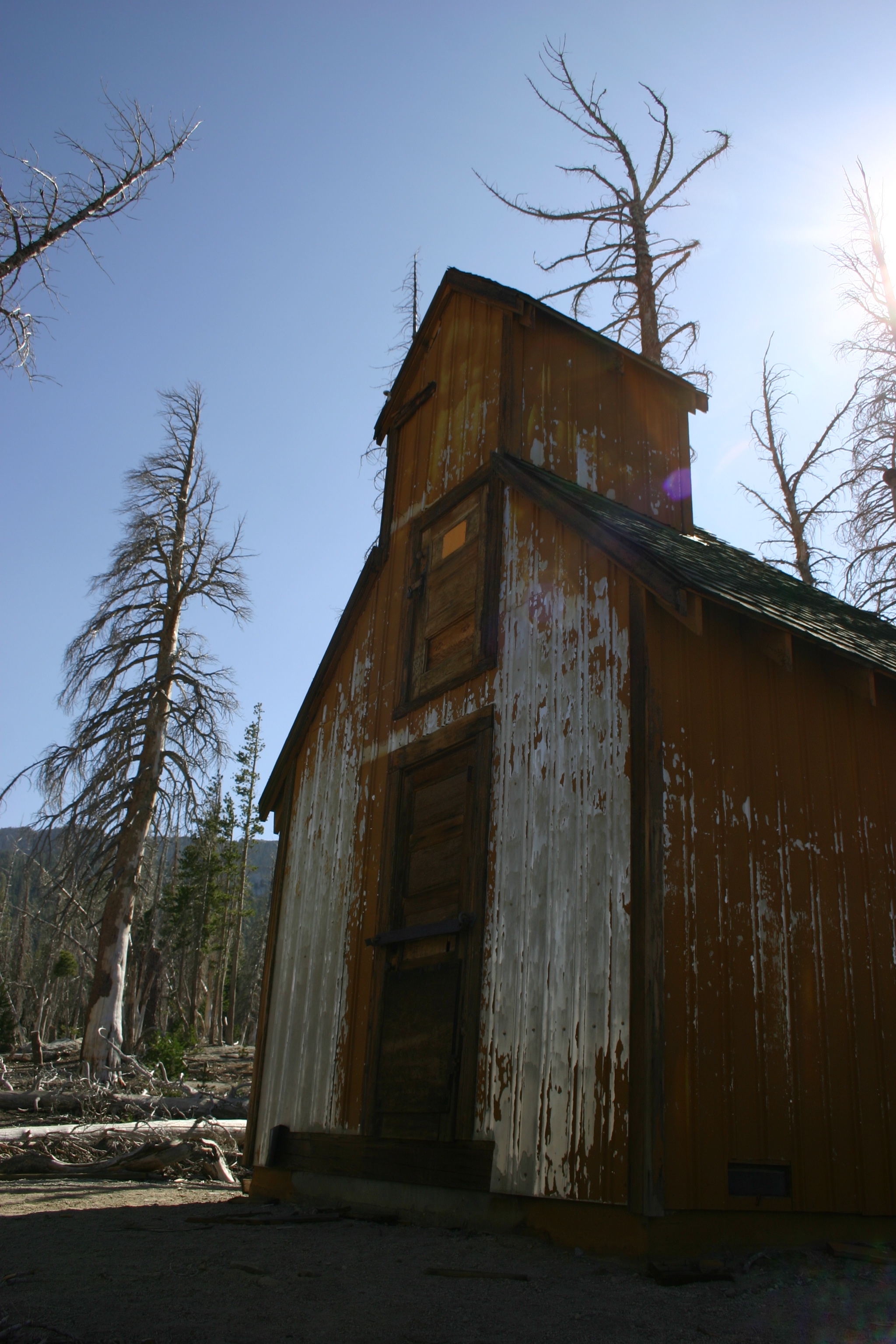 This building reminded me of an old decrepit church. (It was probably an emergency snow cabin or something.) Natural CO2 outgassing from a magma body beneath Mammoth Mountain asphyxiated more than 100 acres of trees near Horseshoe Lake in the early 1990s. The gasses become concentrated to deadly levels in enclosed structures such as cabins. 