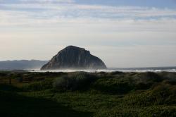 Morro Rock ringed by mist, with greenery in the foreground.