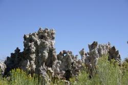 Yellow wildflowers in front of tufa towers at Mono Lake. 