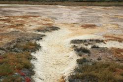 Salt beds form a strange landscape.