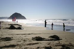 An American flag flies on the beach near Morro Rock while children and adults play in the water nearby. 