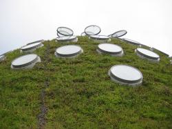 Round skylights on the Living Roof atop the California Academy of Sciences. 
