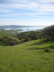 Green landscape in Pacheco State Park, California. I believe the body of water shown is the San Luis Reservoir. 