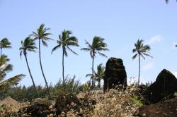 Hikina'akala Heiau. Remains of an ancient temple constructed from lava rocks. 