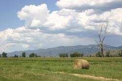 A roll of hay in a green field backed by trees, mountains, and fluffy white clouds.