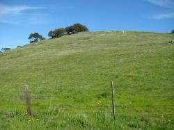 A flimsy fence somehow manages to contain a huge hill in Pacheco State Park, California.