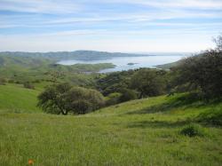 Green landscape in Pacheco State Park, California. I believe the body of water shown is the San Luis Reservoir.