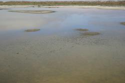 The still water of a salt marsh reflects sky and clouds.